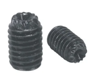 SS Grub Screws Manufacturer