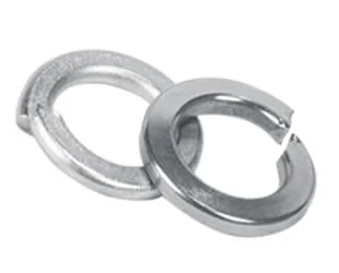 SS Spring Washers supplier and manufacturer in India