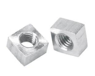 Stainless Steel Nuts